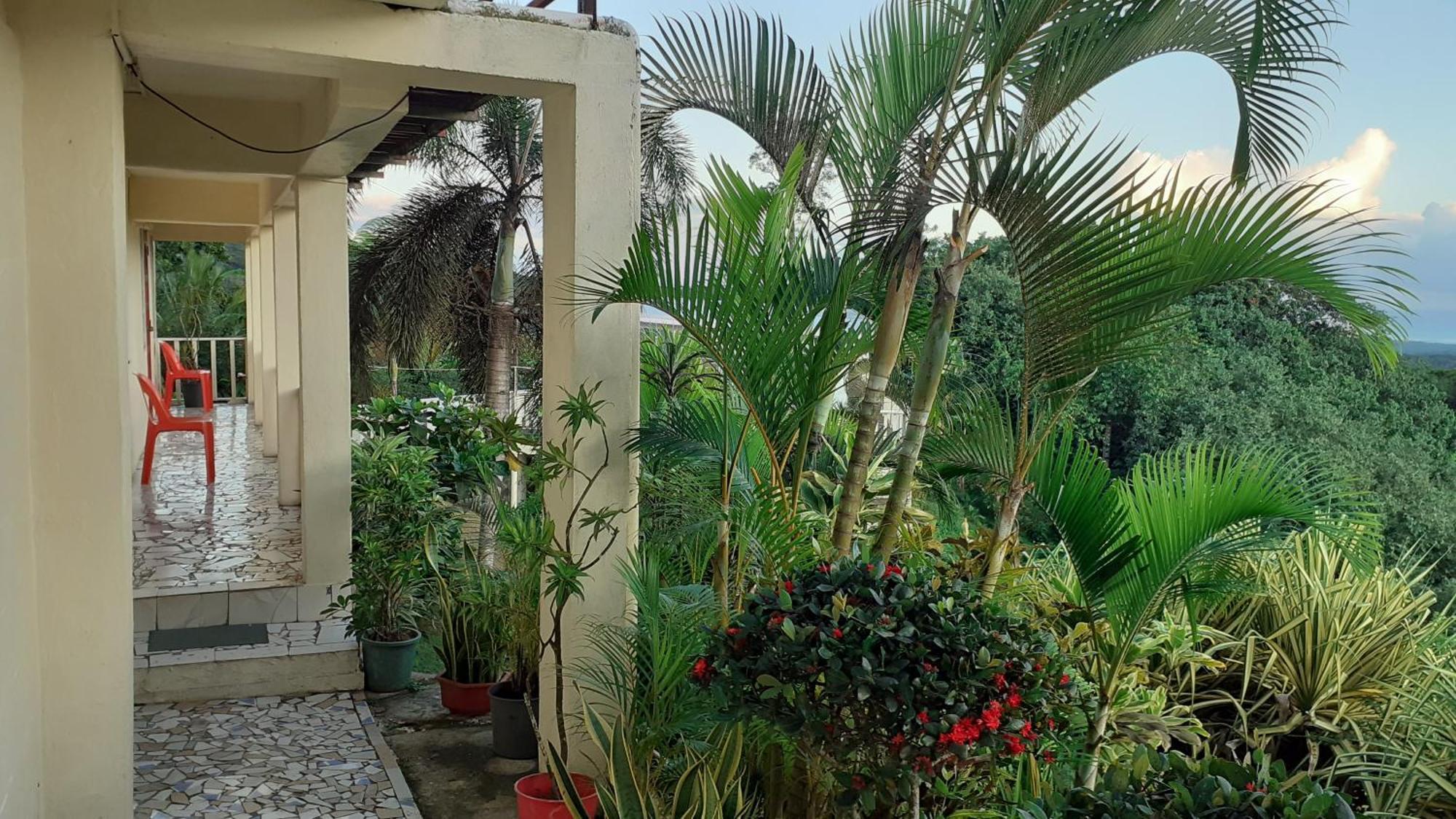 Dave Parker Eco Lodge Hotel Apia Bagian luar foto