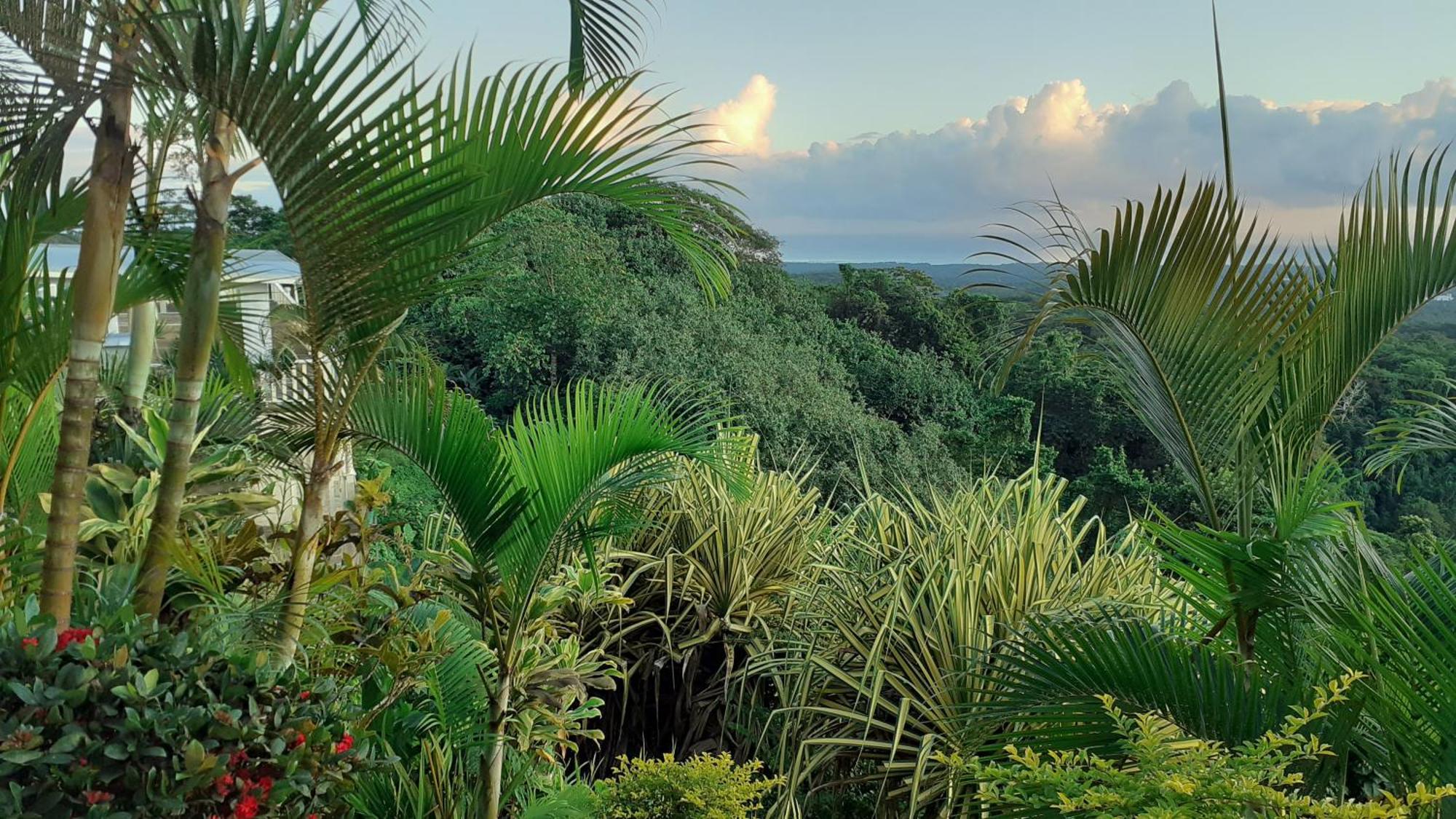 Dave Parker Eco Lodge Hotel Apia Bagian luar foto