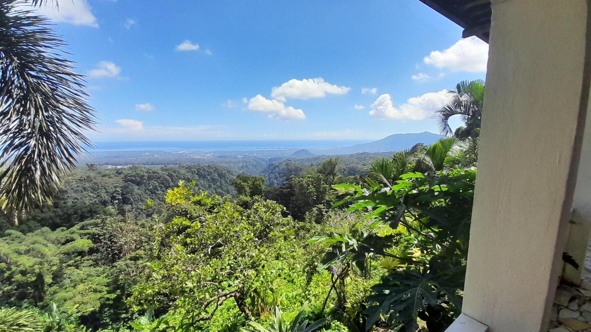 Dave Parker Eco Lodge Hotel Apia Bagian luar foto