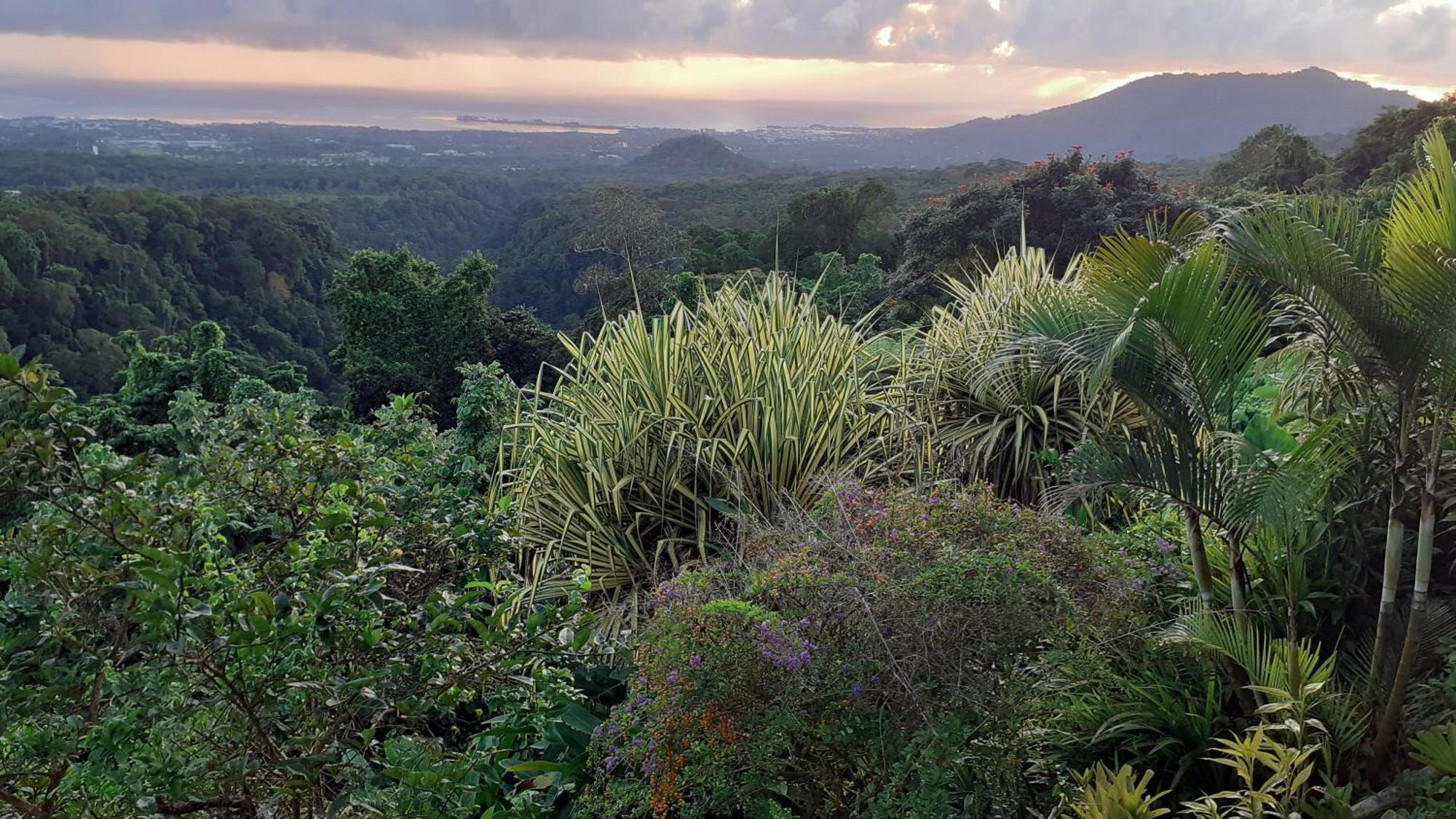 Dave Parker Eco Lodge Hotel Apia Bagian luar foto