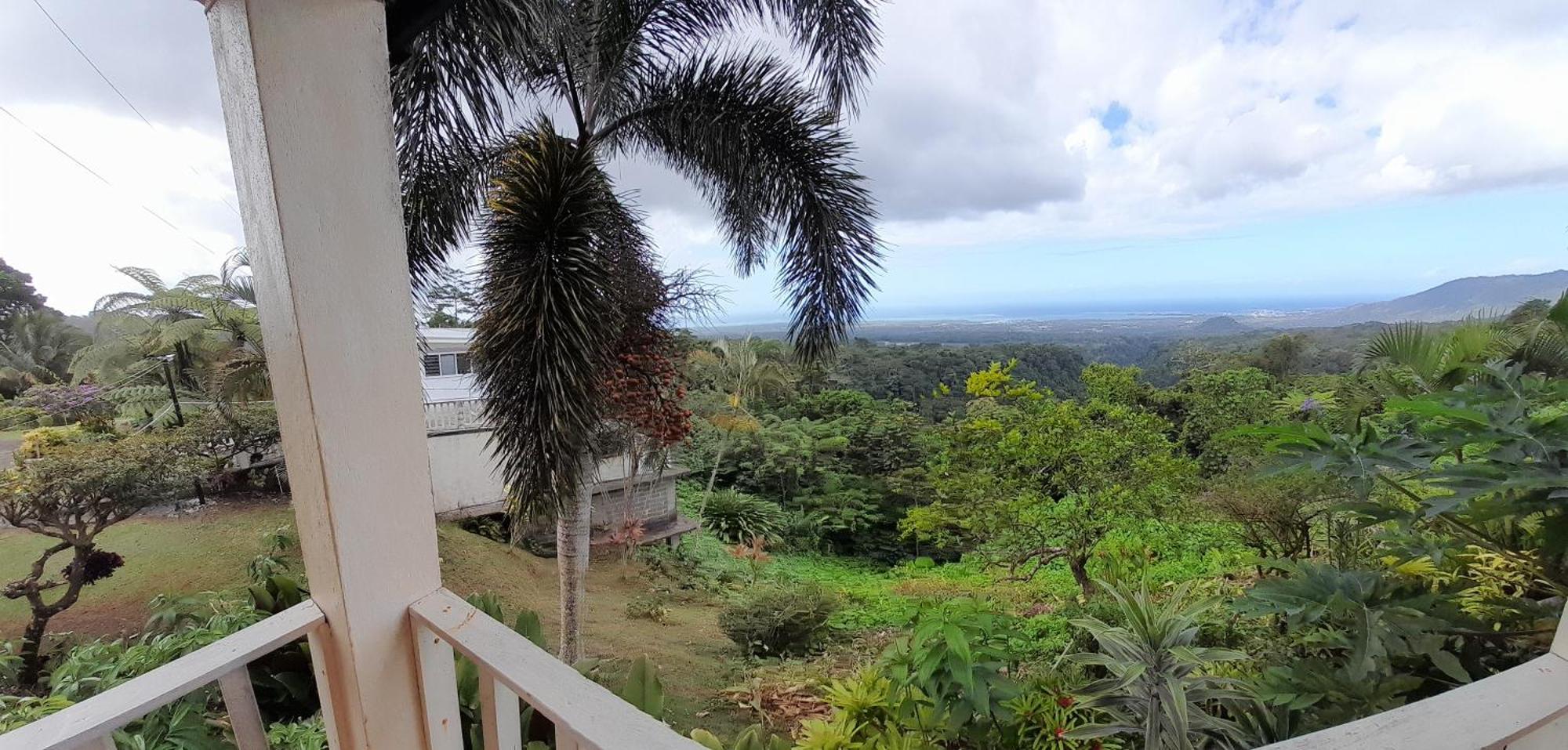 Dave Parker Eco Lodge Hotel Apia Bagian luar foto