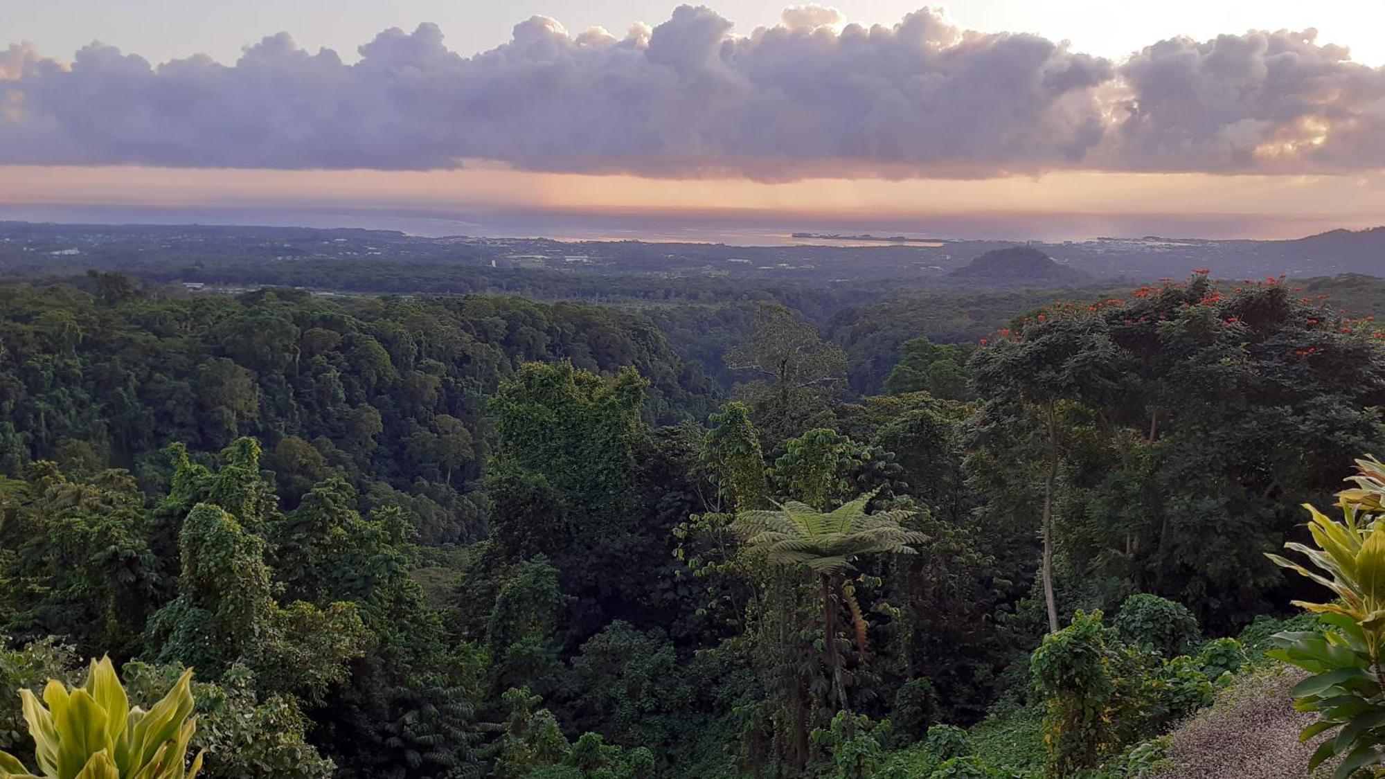 Dave Parker Eco Lodge Hotel Apia Bagian luar foto