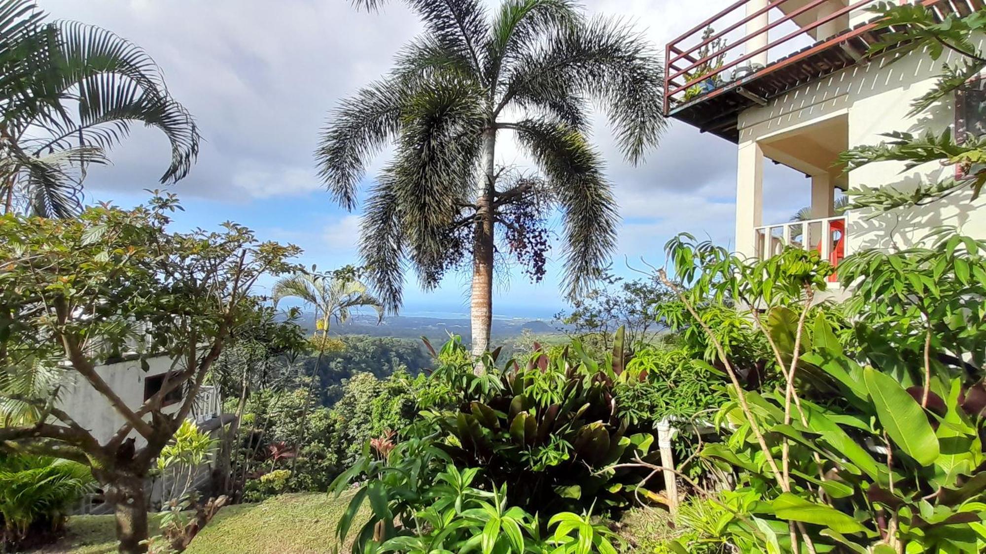 Dave Parker Eco Lodge Hotel Apia Bagian luar foto