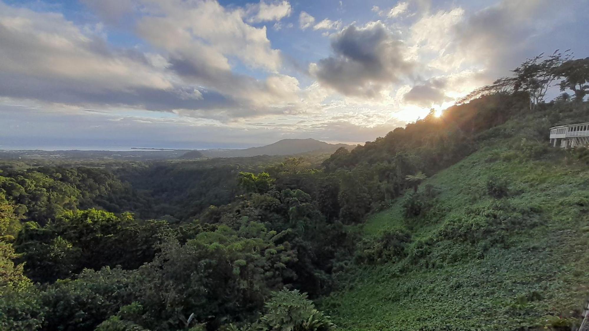 Dave Parker Eco Lodge Hotel Apia Bagian luar foto