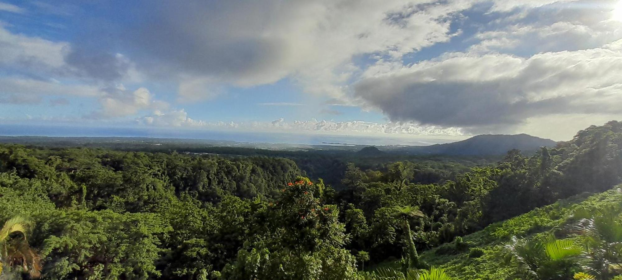 Dave Parker Eco Lodge Hotel Apia Bagian luar foto