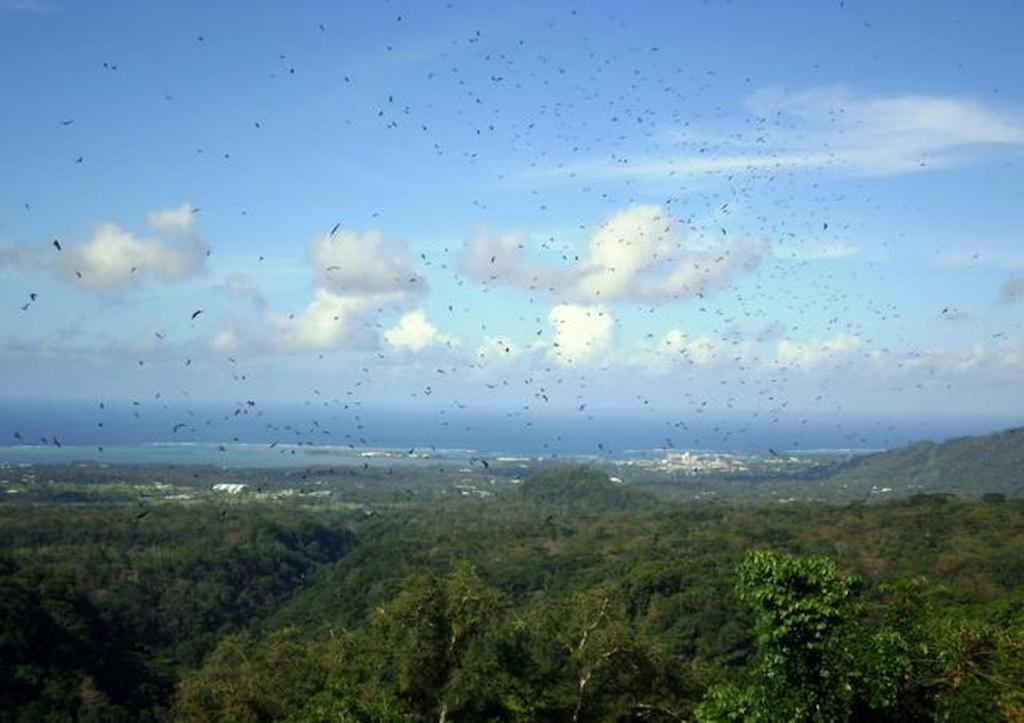 Dave Parker Eco Lodge Hotel Apia Bagian luar foto