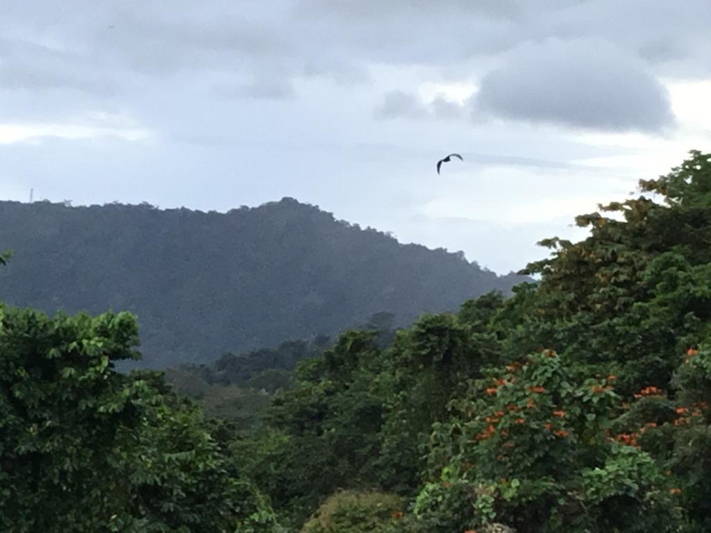 Dave Parker Eco Lodge Hotel Apia Bagian luar foto