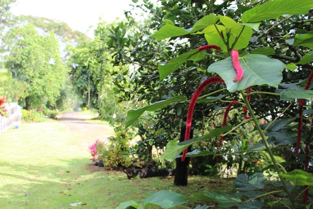 Dave Parker Eco Lodge Hotel Apia Bagian luar foto