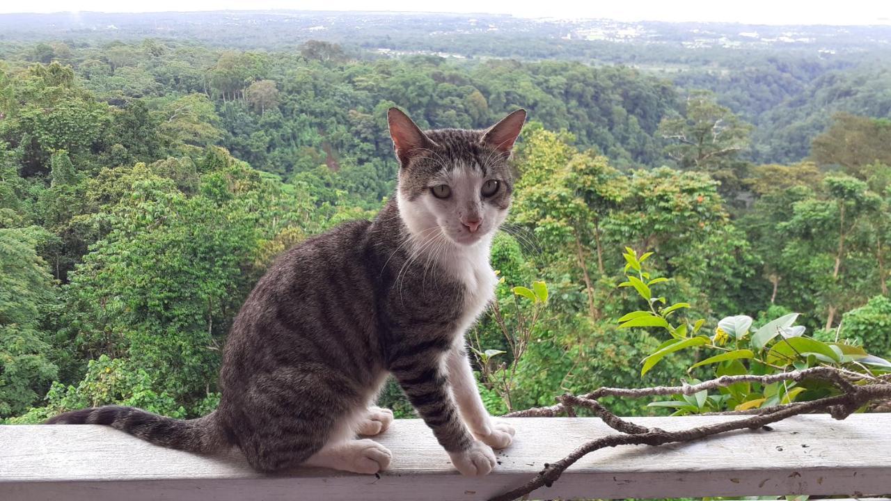 Dave Parker Eco Lodge Hotel Apia Bagian luar foto