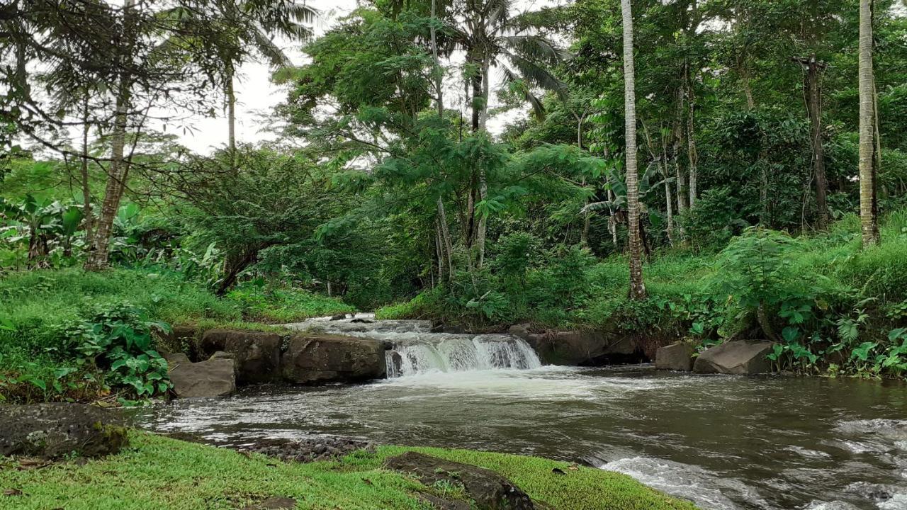 Dave Parker Eco Lodge Hotel Apia Bagian luar foto